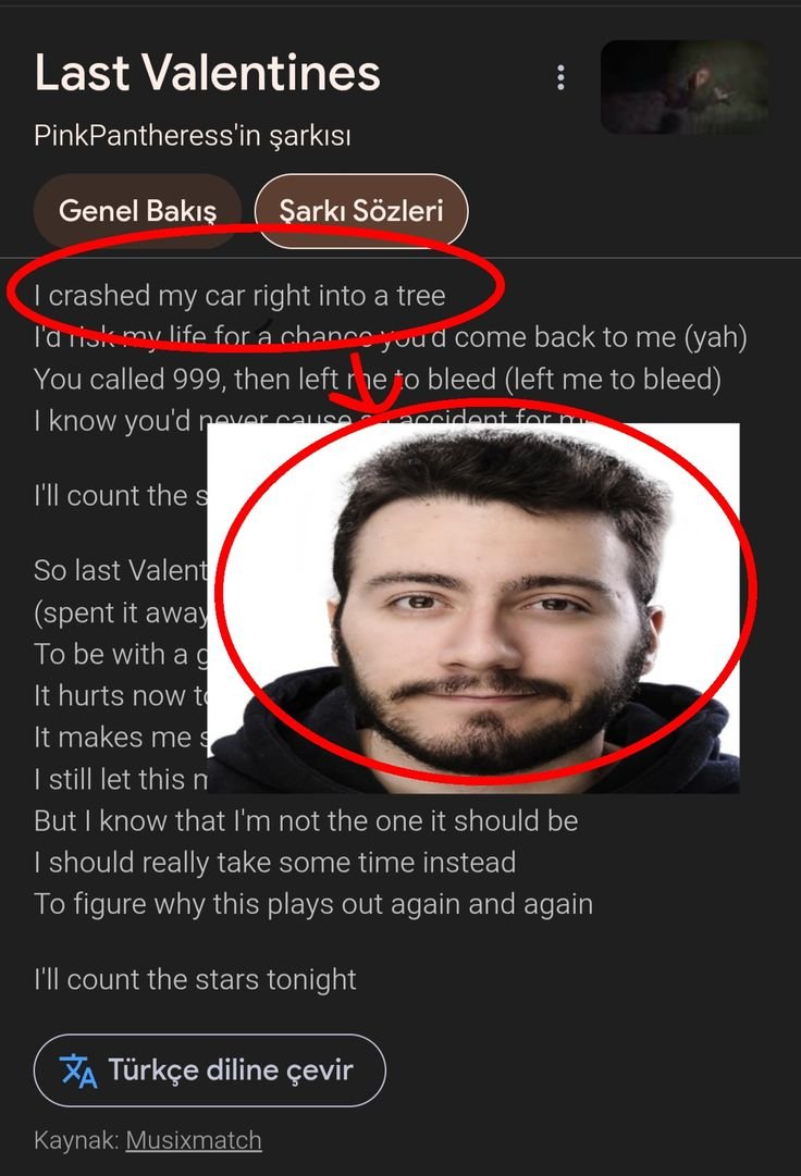 rena 🇨🇺🦋 tweet media