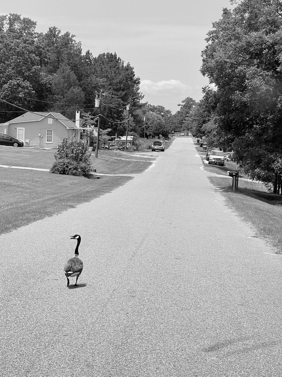 وكذلك أنزلناه آيات بينات وأن الله يهدي من يريد

#يا_سلام_ع_الحب

  من أراده هداه

وانا بحبك وبريدك 
وصلب ديني اني مريدك