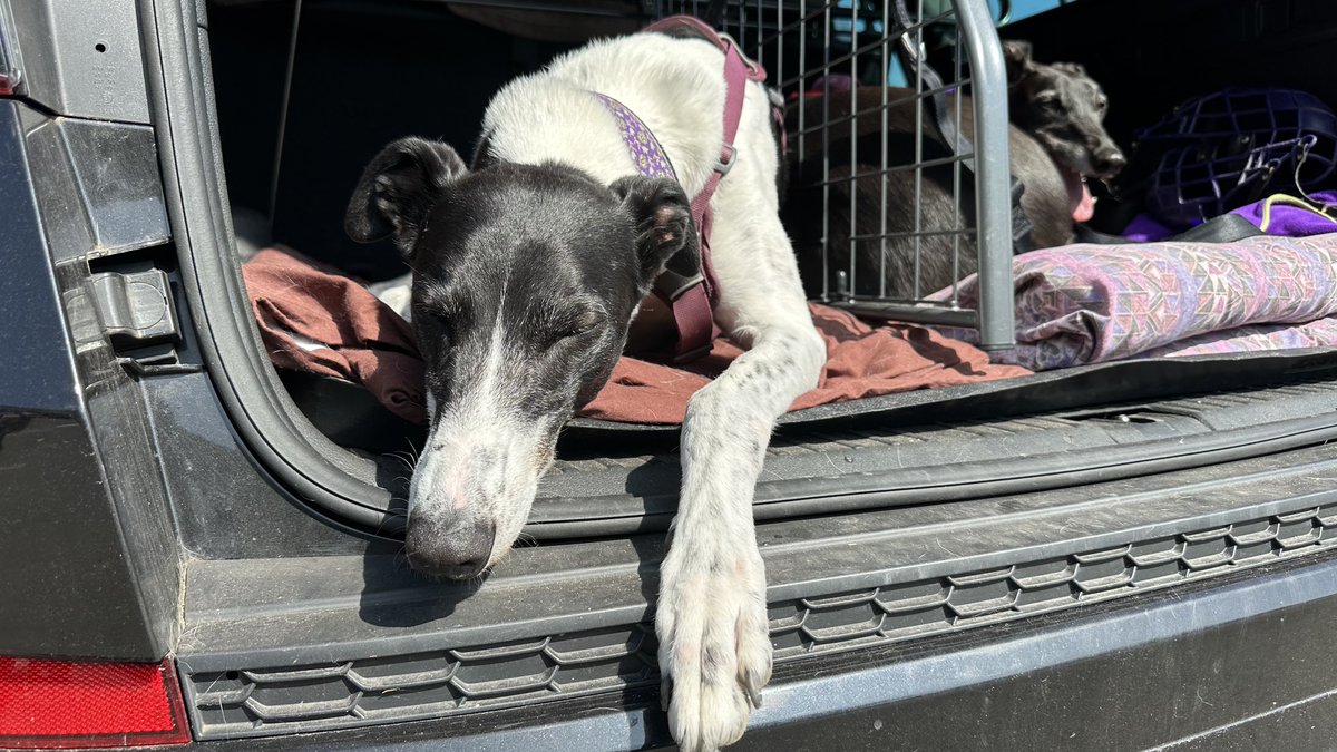 Fire’s Brigade tweet media