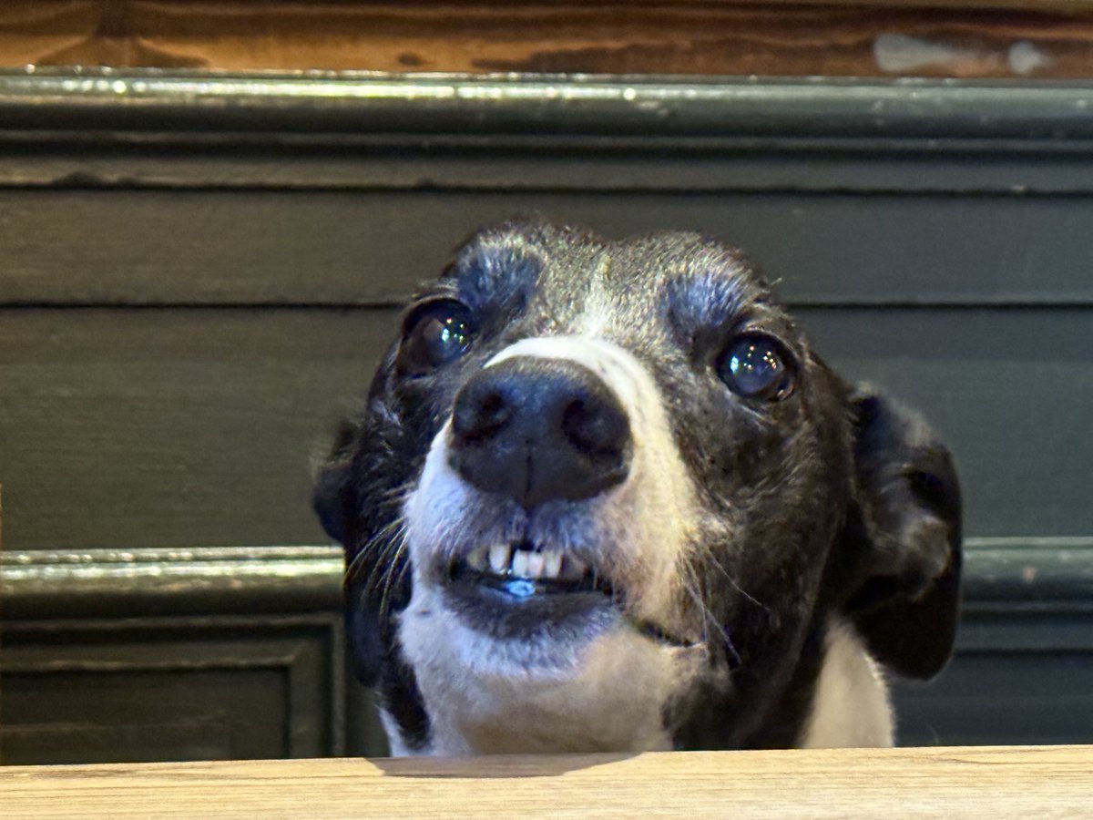 Fire’s Brigade tweet media