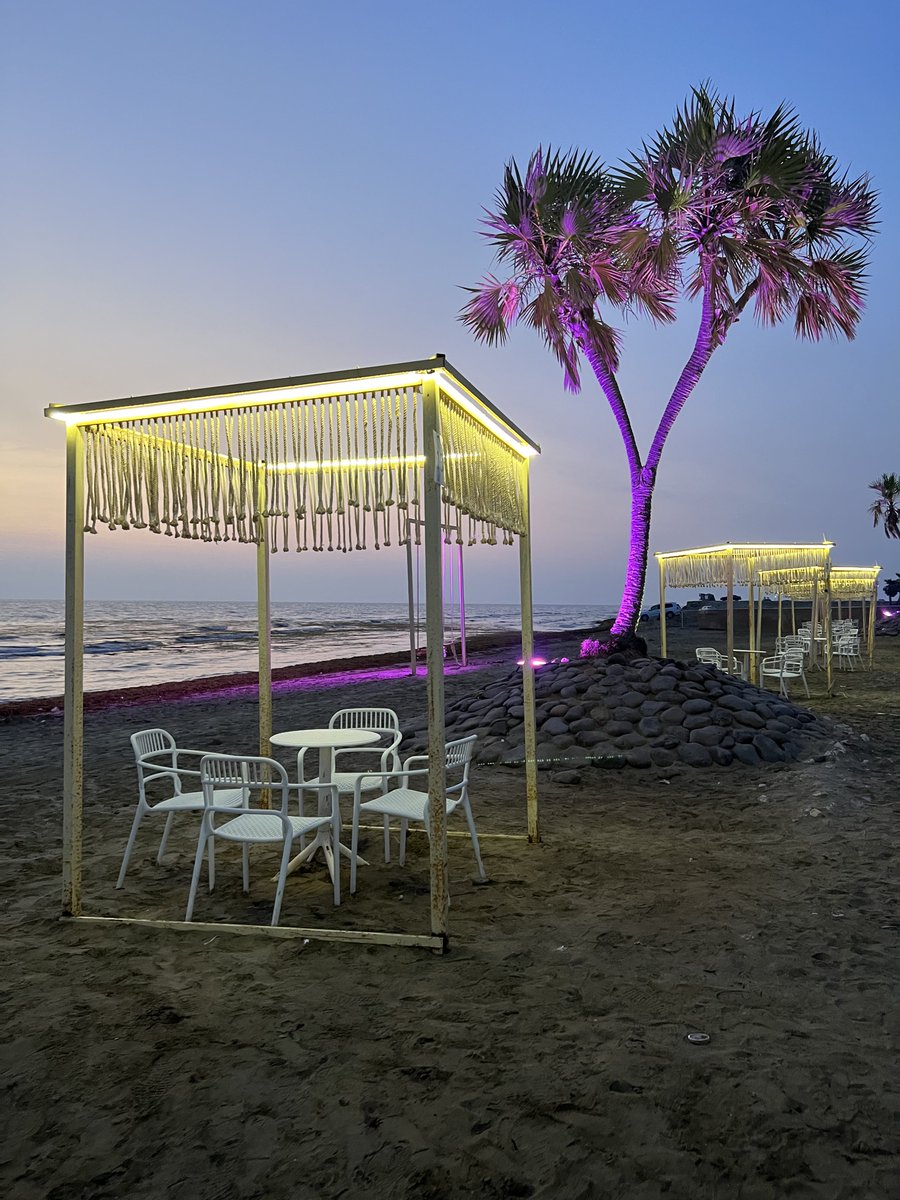 Anodgui's tweet image. 