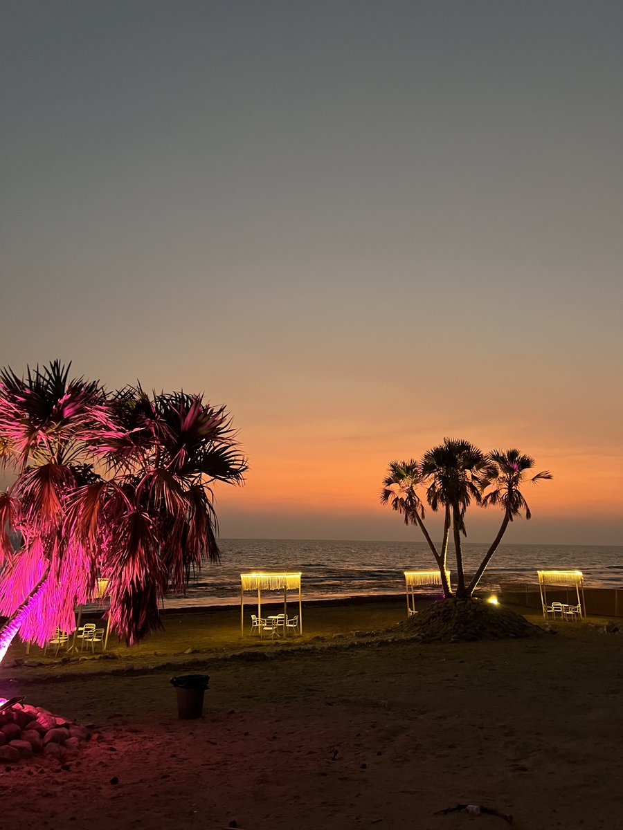 Anodgui's tweet image. 