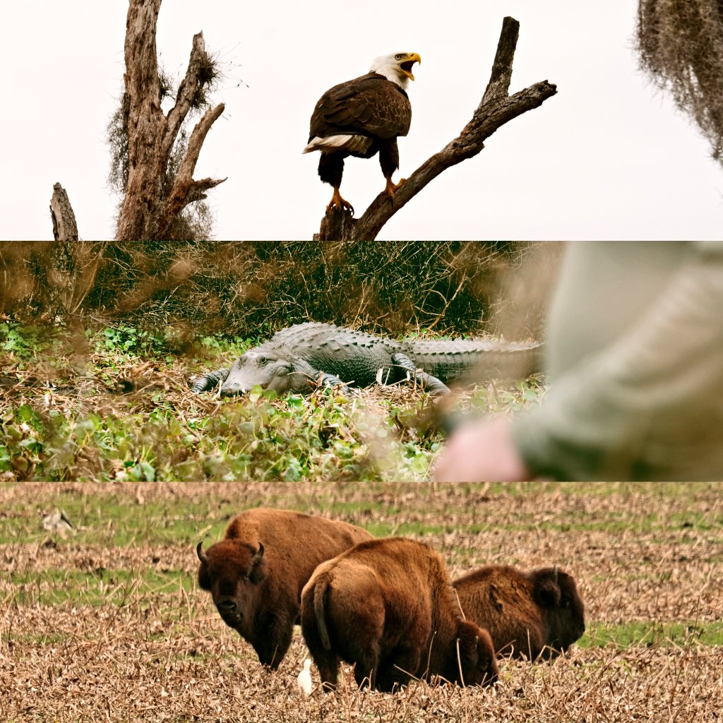 Some film stills from America's Forgotten Prairie.