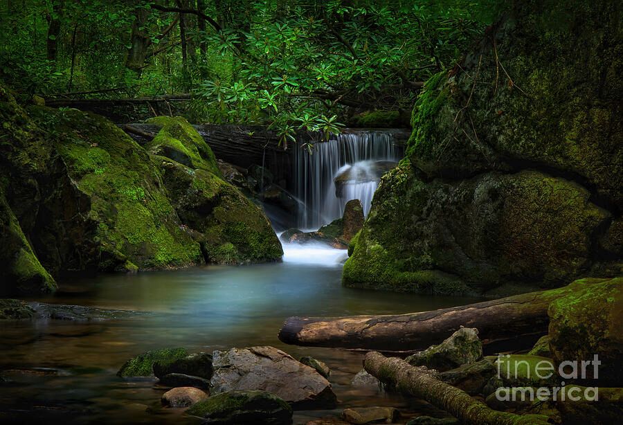 shelia_hunt's tweet image. “𝐒𝐄𝐂𝐋𝐔𝐃𝐄𝐃 𝐖𝐀𝐓𝐄𝐑𝐅𝐀𝐋𝐋” in the Blue Ridge Mountains - shelia-hunt.pixels.com/featured/seclu… 

#WaterfallWednesday #Waterfall #Waterfalls #BlueRidgeMountains #SheliaHunt #BuyIntoArt