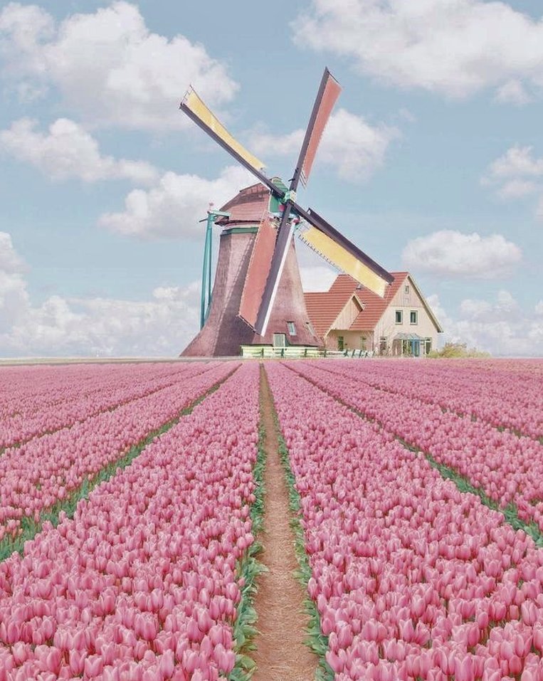 FLAXLOC's tweet image. 明日のテストの勉強全然してない
やばい 🐤