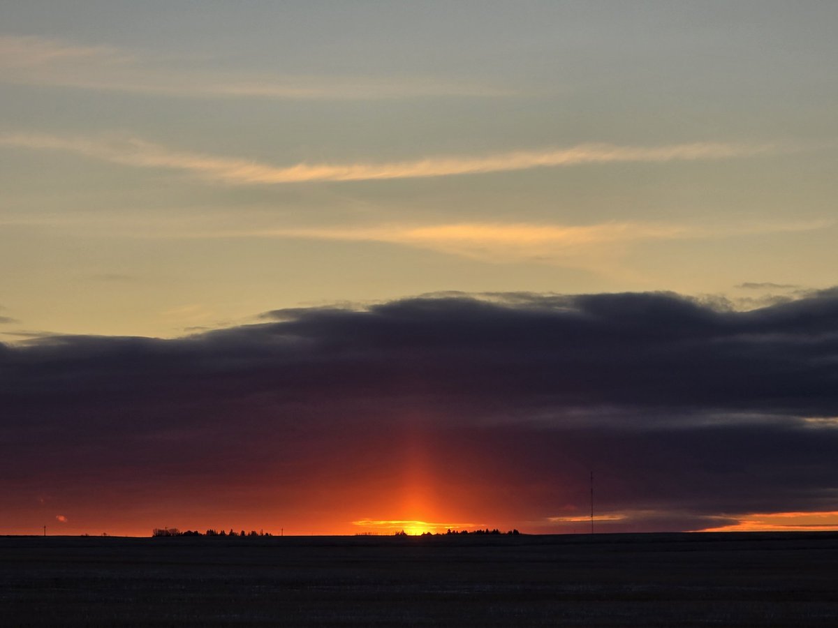 Tracey Dyck tweet media