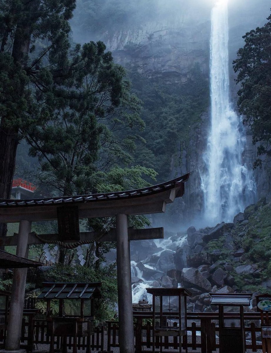 PapiParamjit's tweet image. 近所にオープンした雑貨屋さんで素敵な食器を見つけて即購入した 🏬