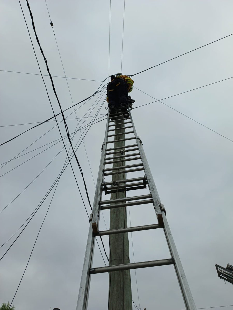 BombVolRosario's tweet photo. En la mañana de hoy una dotación de Bomberos Voluntarios de Rosario acudió al llamado de Patricia para rescatar a un miembro de su familia: Negrito 🐈, un gatito que estaba atrapado en lo más alto de un poste de luz en Blandengues al 6605. 

Gracias a las tareas realizadas por nuestros compañeros, ya se encuentra con su familia. 

Somos los Bomberos de la Ciudad Autónoma de Rosario

#NuestraComunidad
#NuestroCompromiso

#BomberosRosario
#NosNecesitamos

@emergenciasAR @leodelga2 @CalleDeRosario
