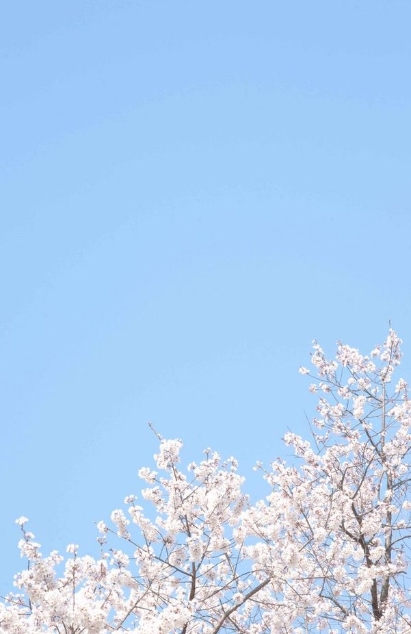 netfoni's tweet image. 電車遅延で会議に遅刻しそう
焦る 👨‍🦼