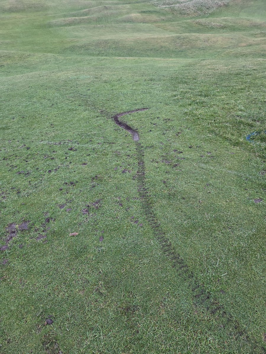 Jono Edwards tweet media