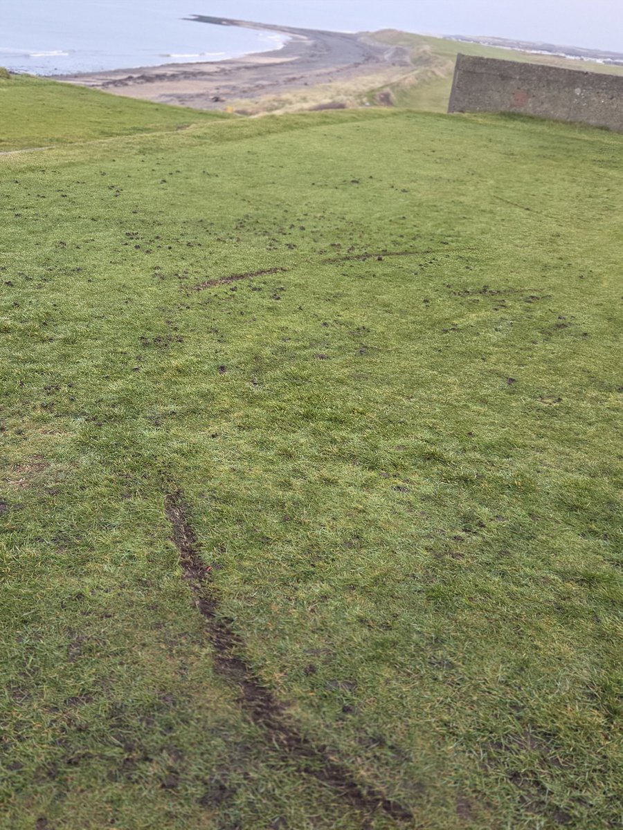 Jono Edwards tweet media