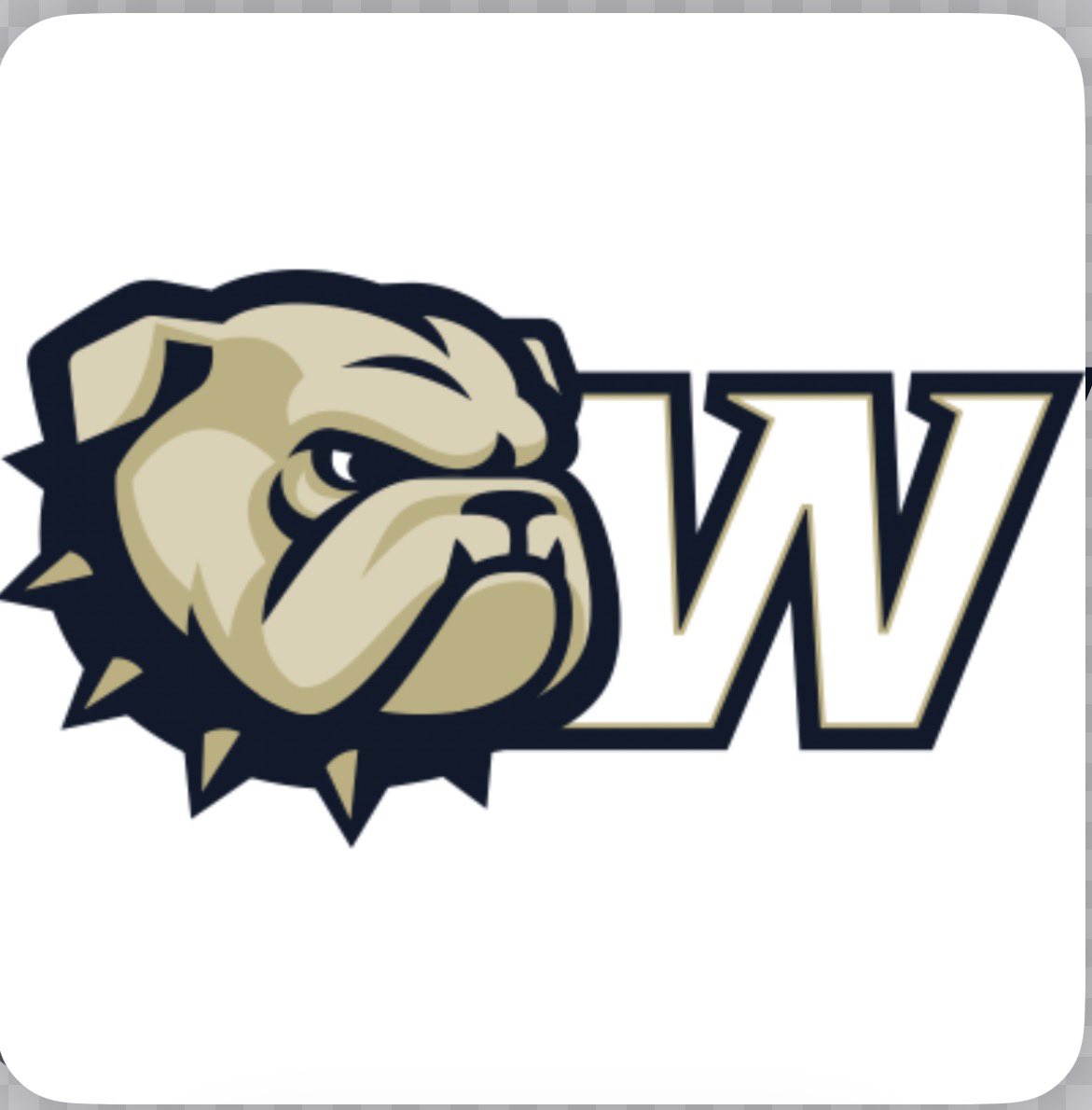 Terry radford tweet media