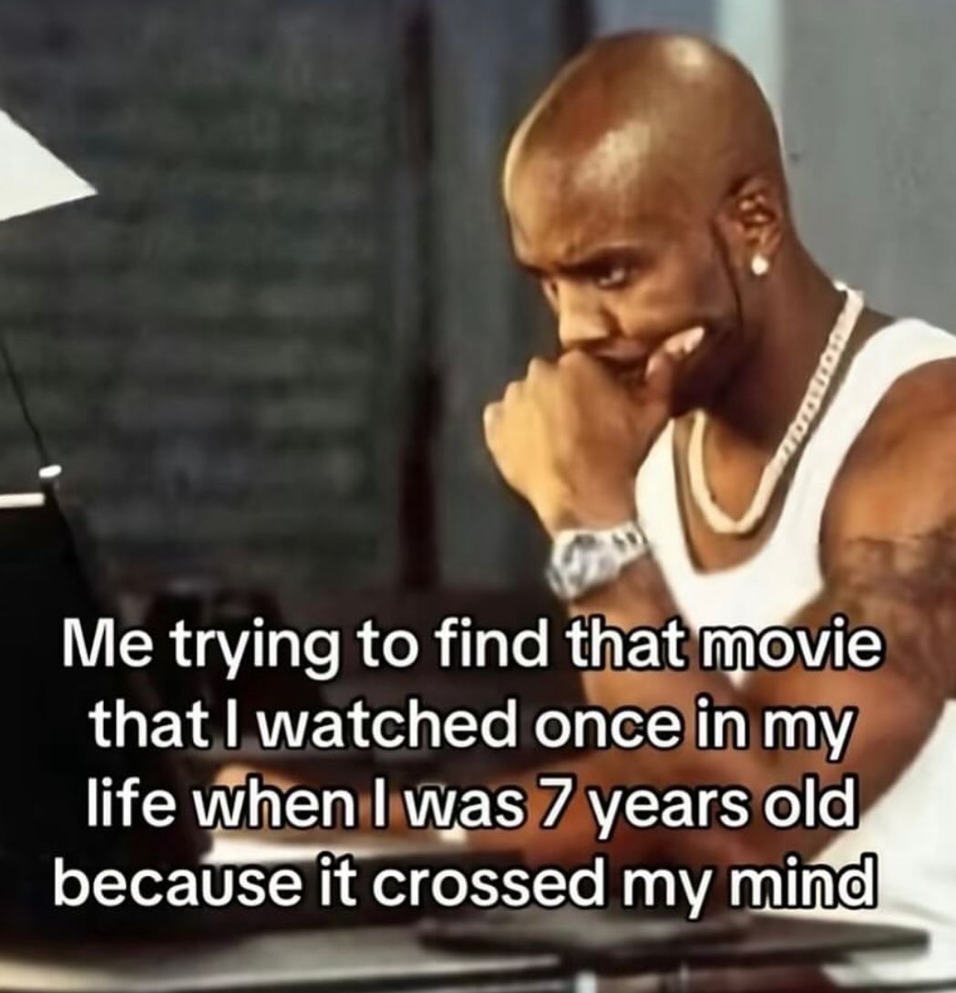 wildtiktokss's tweet image. 