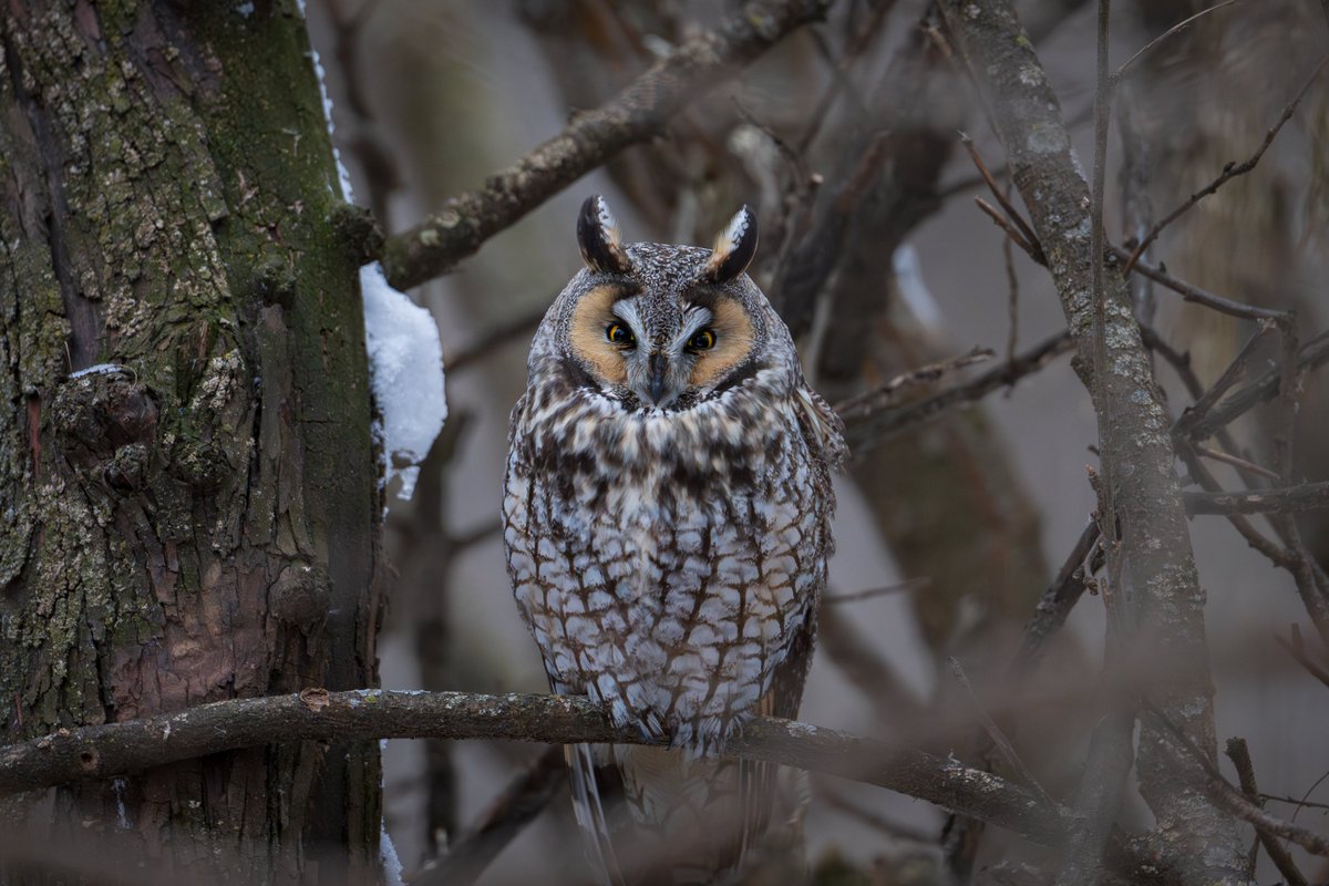 Devin Pitts tweet media