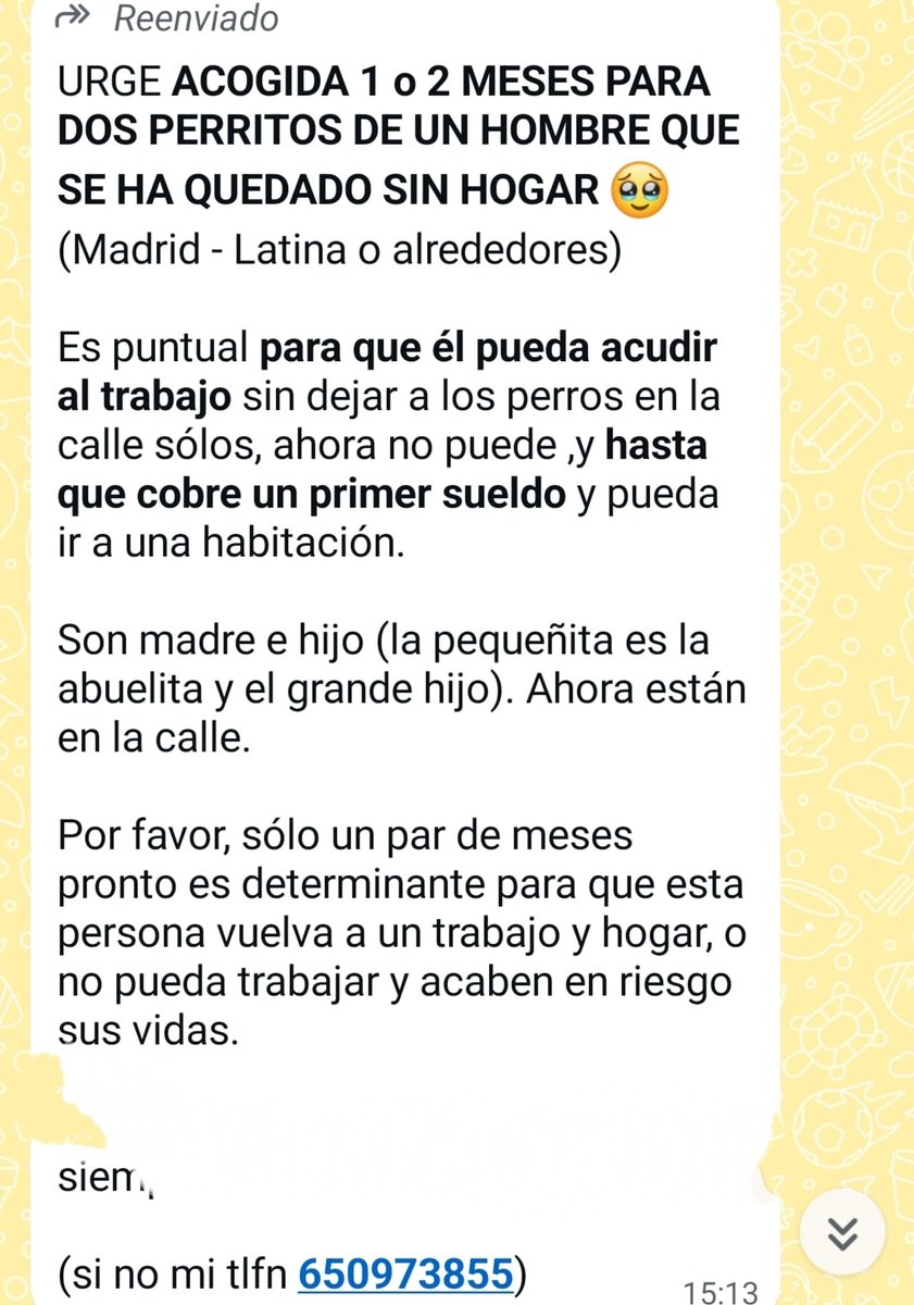 Urge acogida por Madrid para estos dos perritos madre e hijo. Son de un hombre que se ha quedado sin hogar 🙏🏻
Se pagará la acogida y mantenimiento, tiene que poder cobrar el primer sueldo para poder alquilar algo 🙏🏻
Por favor podemos ayudarle a que no pierda a los perritos 🙏🏻