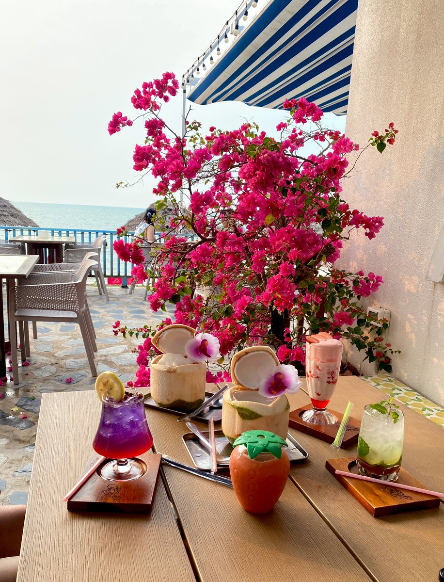 ✨🎀Wawwa🎀✨ tweet media