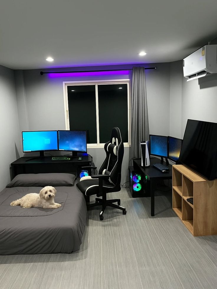 daniel_mainn's tweet image. Guys, is this enough to start Life?