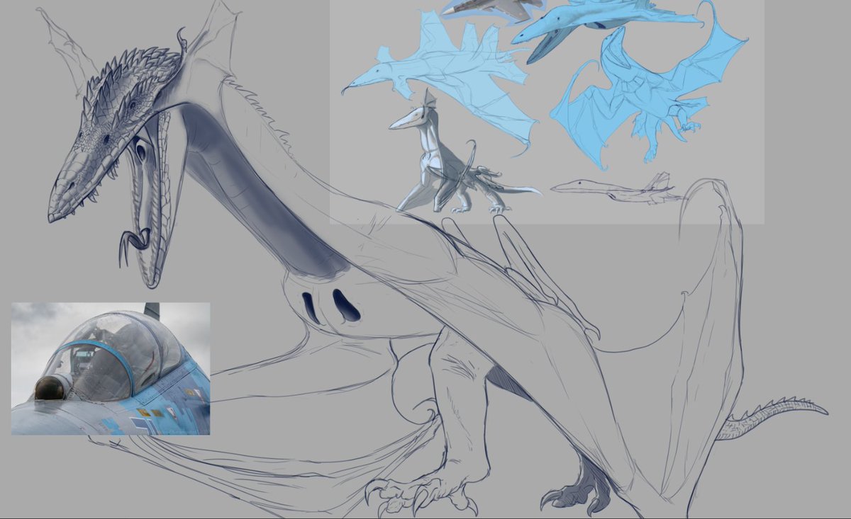 Riamus01's tweet image. So how exactly do snake heat sensing pit organs work? Is there a mammalian equivalent to them?

Still wondering how to interpret the IRST pods on the Flanker dragon and the Rafale bat.