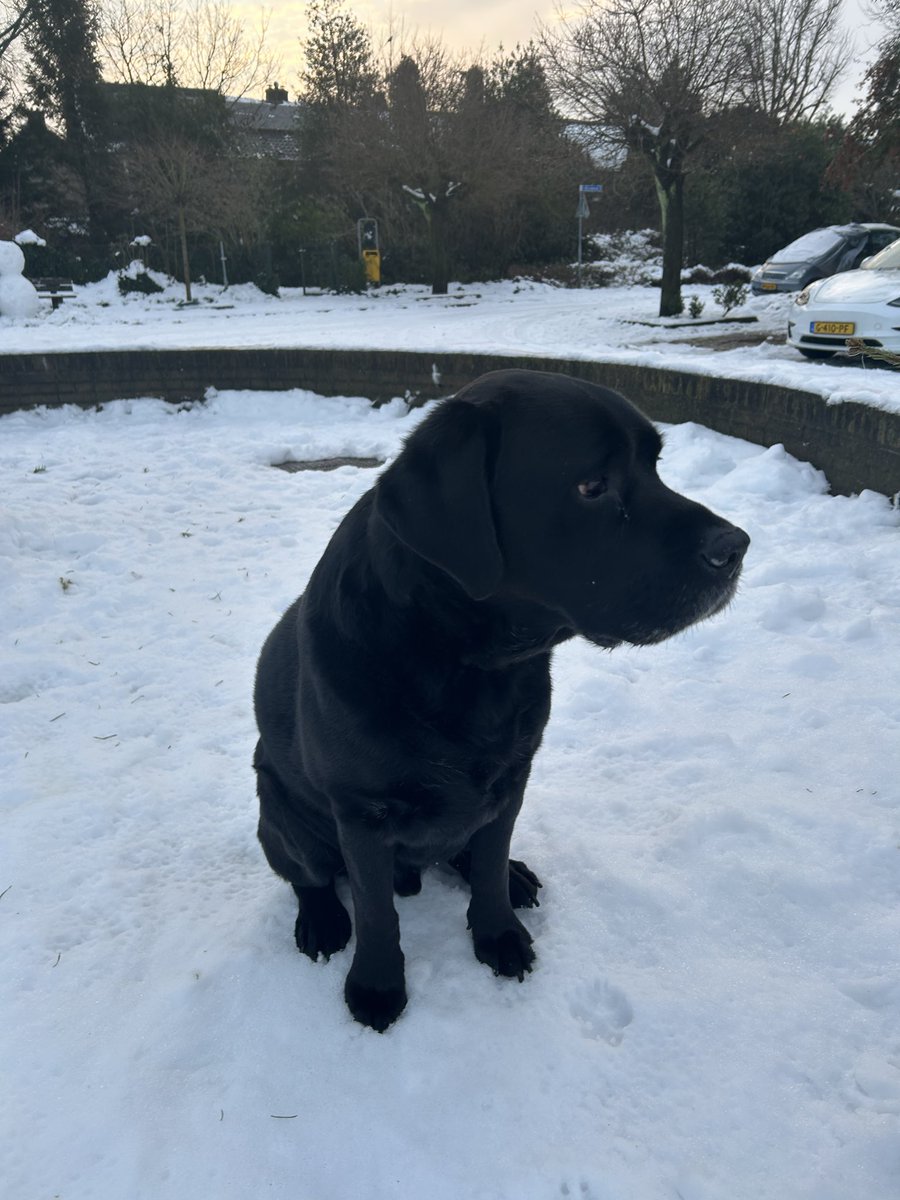 D A N I E L L E tweet media