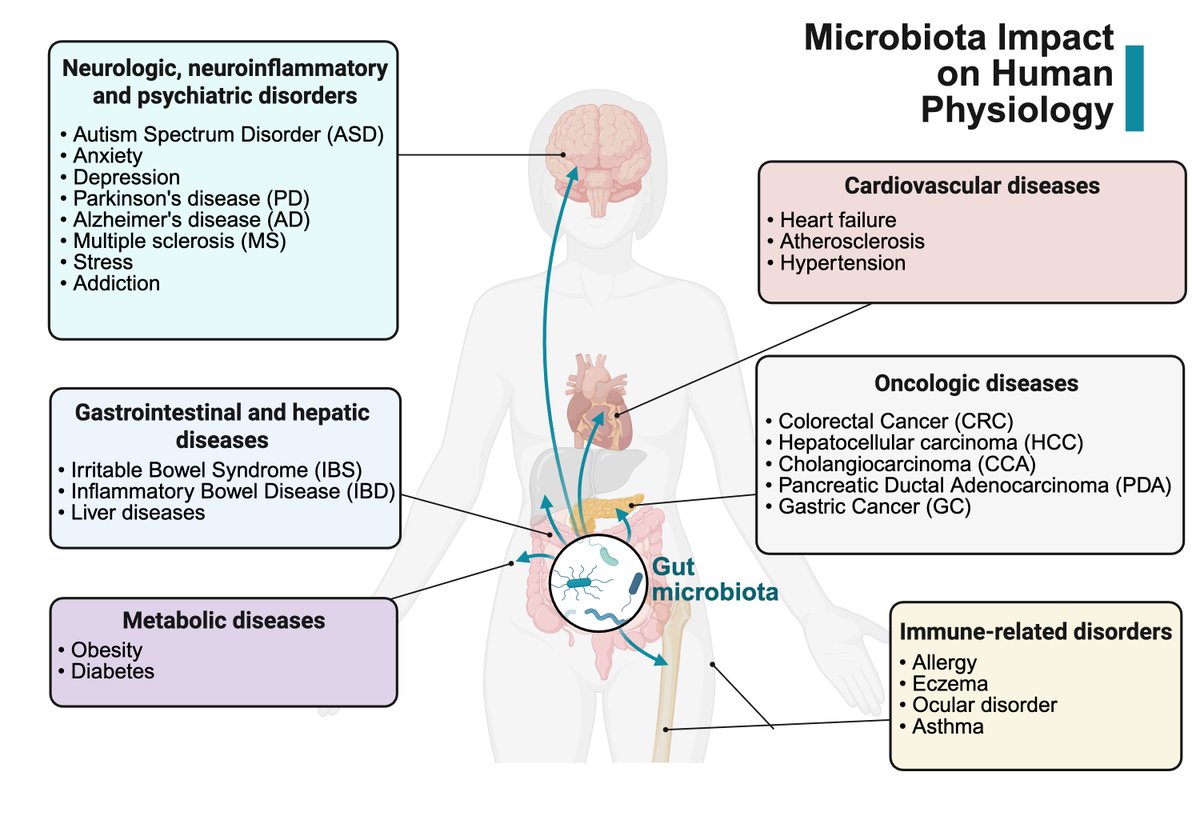 Gut_BMJ's tweet photo. Read the #GUTRecentAdvancesInBasicScience paper by De Luca et al on

"Gastrointestinal microbiota and inflammasomes interplay in health and disease: a gut feeling" via

https://t.co/OAYx5C3NgQ

#Microbiota #Inflammasomes https://t.co/qAt6yqOCZx