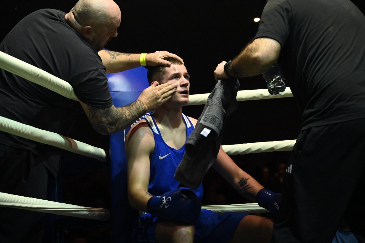 Boxing Ireland tweet media