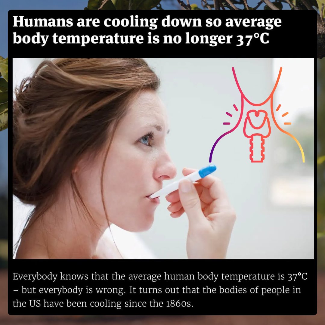 "It is the thyroid which controls metabolism - the process by which food is transformed into energy and many vital chemical changes take place. Minute thyroid secretions, something less than a spoonful a year, are responsible for much of the body's heat production.” 

— Broda