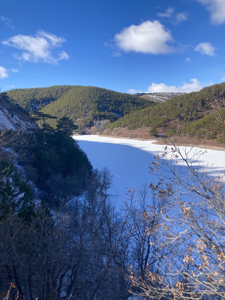 A new week full of peace for everyone 🌏