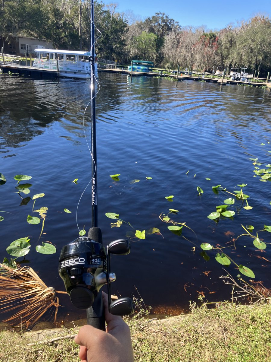 poogiepixel's tweet photo. Great weekend for fishing! https://t.co/CY8WUxDsqs
