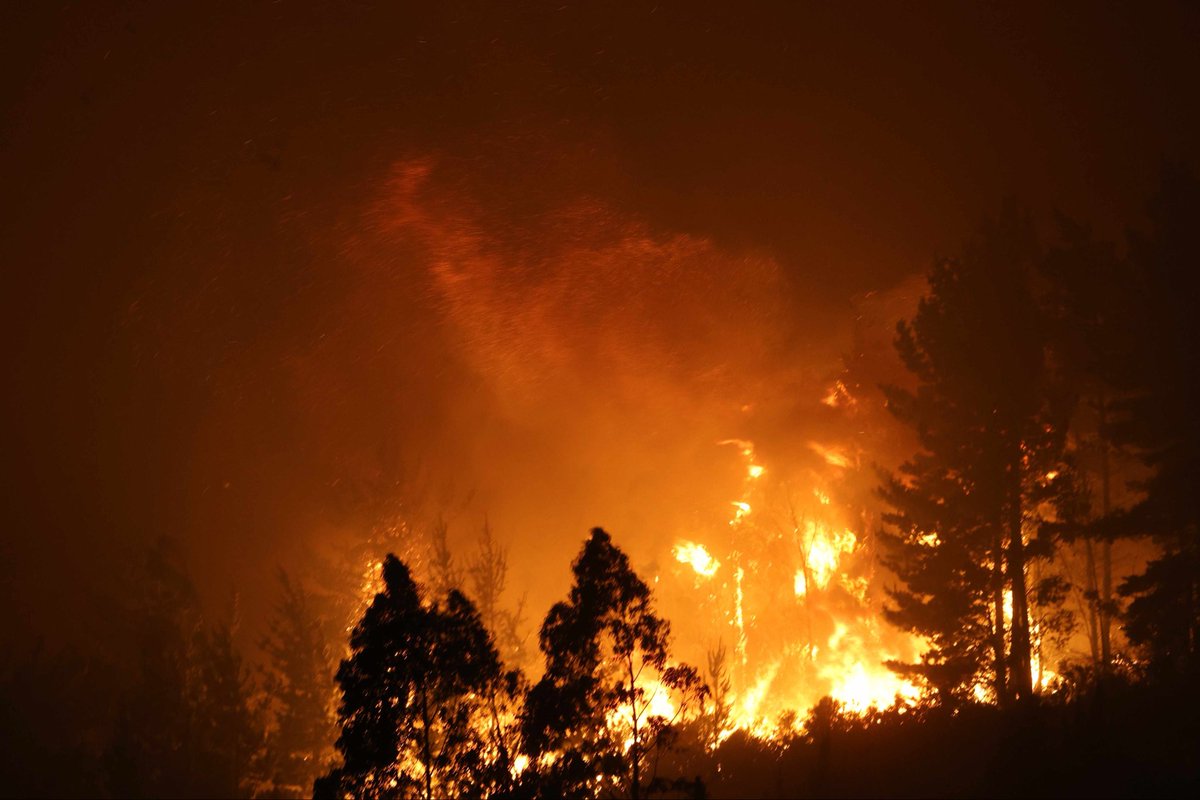 🔴 #Incendios forestales: Gobierno de Chile confirma 16 muertos en las regiones de Ñuble y Biobío 

La #emergencia ya ha dejado 20 mil hectáreas afectadas y alrededor de mil personas en albergues. El Presidente Boric se trasladará a la zona