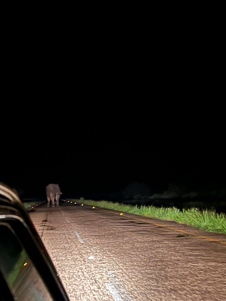 Day 8: We entered Botswana via Kazungula bridge. The roads were good at first, but always watch out for elephants. The last 300kms (Nata - Maun), however, outdid Malawi. It was so bad that there were “Potholes” road signs. Took us 8hrs and almost hitting an elephant