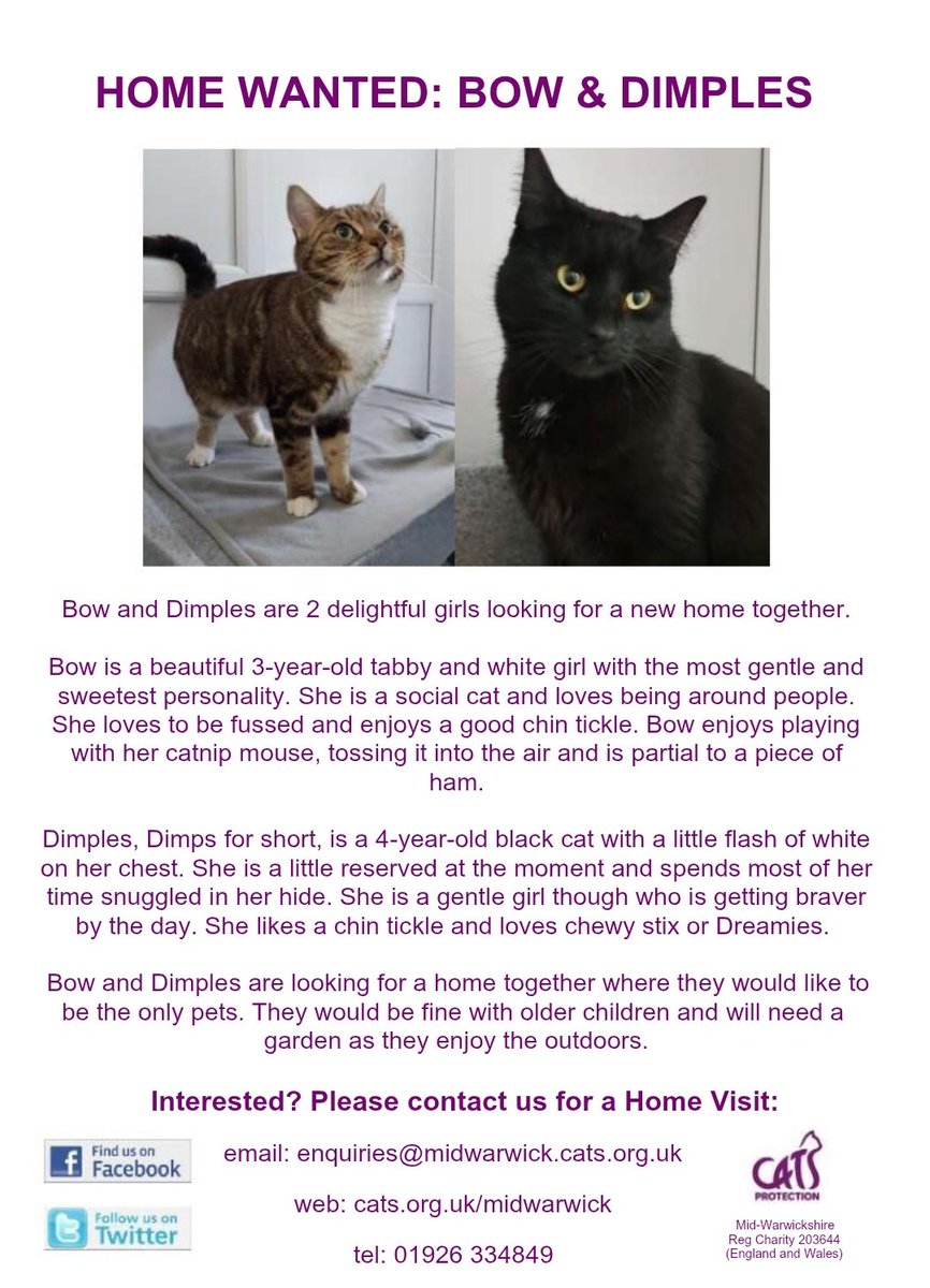MidWarksCP's tweet image. HOME WANTED: This beautiful bonded pair need a home together where they'll pay you back with plenty of love and purrs.

#AdoptDontShop