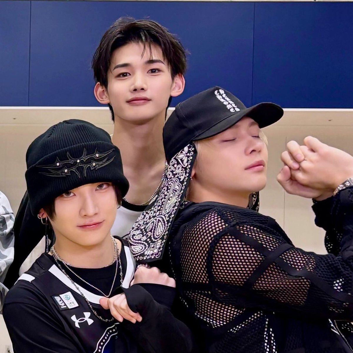 장꾸냥이들사이에낀팔척밥둥이머야ㅋㅋㅋㅋ