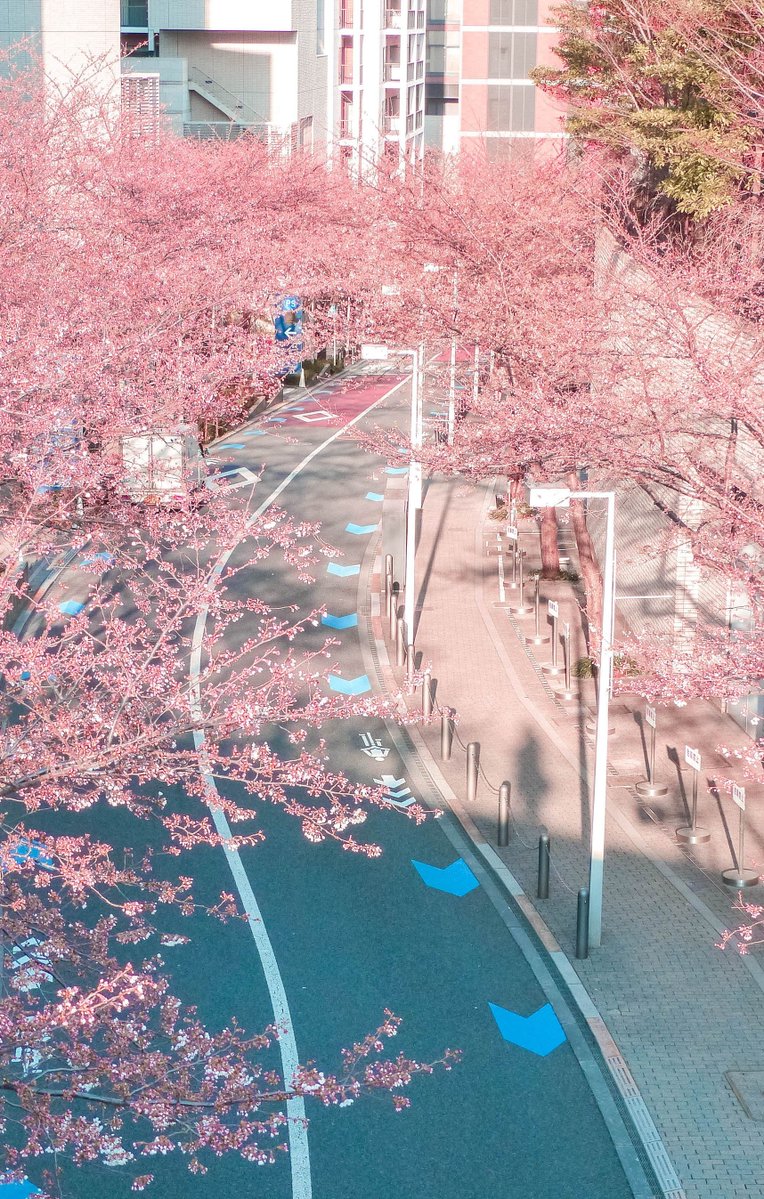 EdwarRogger's tweet image. 宿題やってたら集中力が30分で切れた 💨