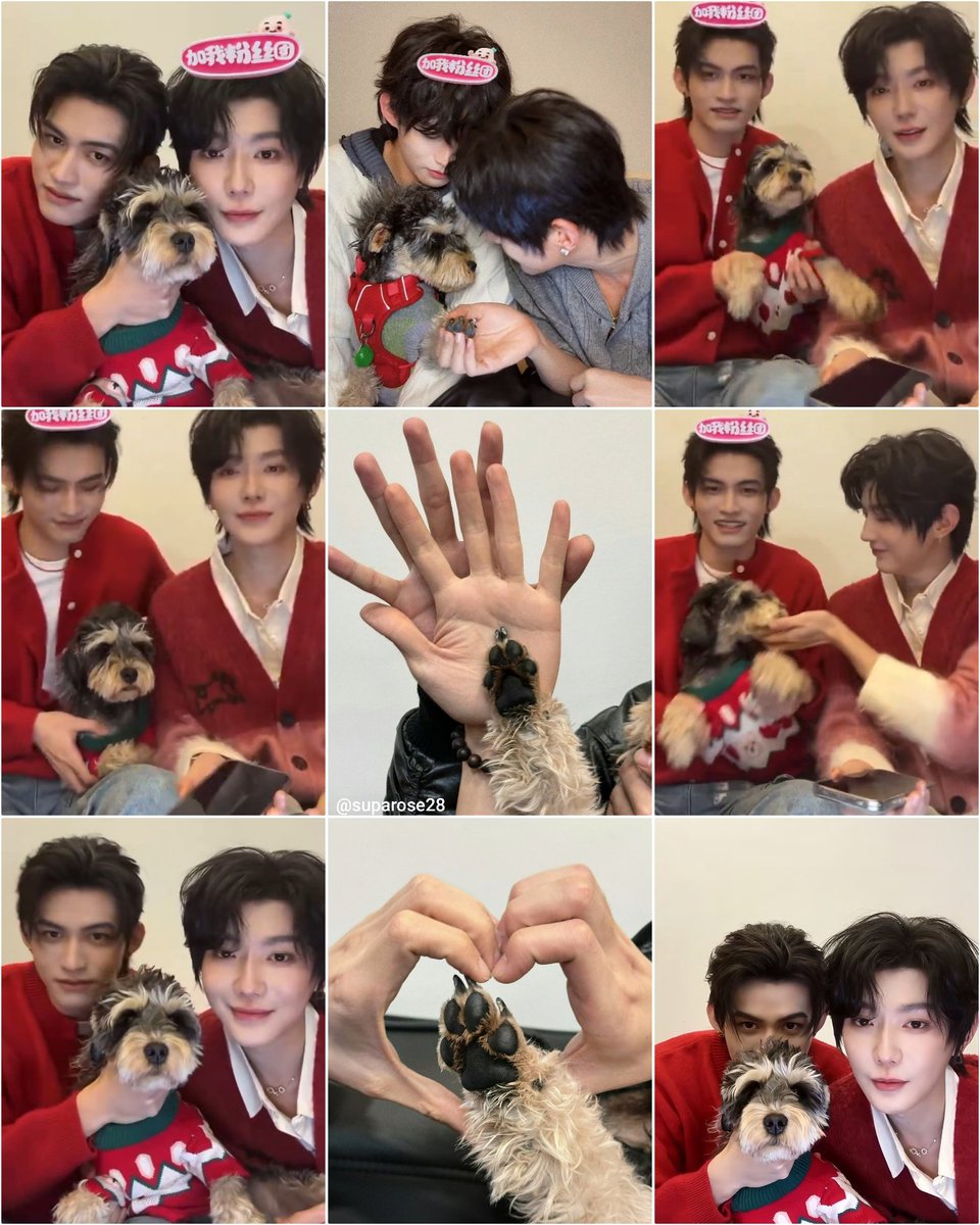 suparose28's tweet photo. Cuties with star 🐶
#tomyshoretheseries #云旗 #yunqi #郝熠然 #HaoYiran #YunYi #FanXiao #YouShuLang #FanShu
#吾岸 #ToMyShore https://t.co/jkl8bgu255