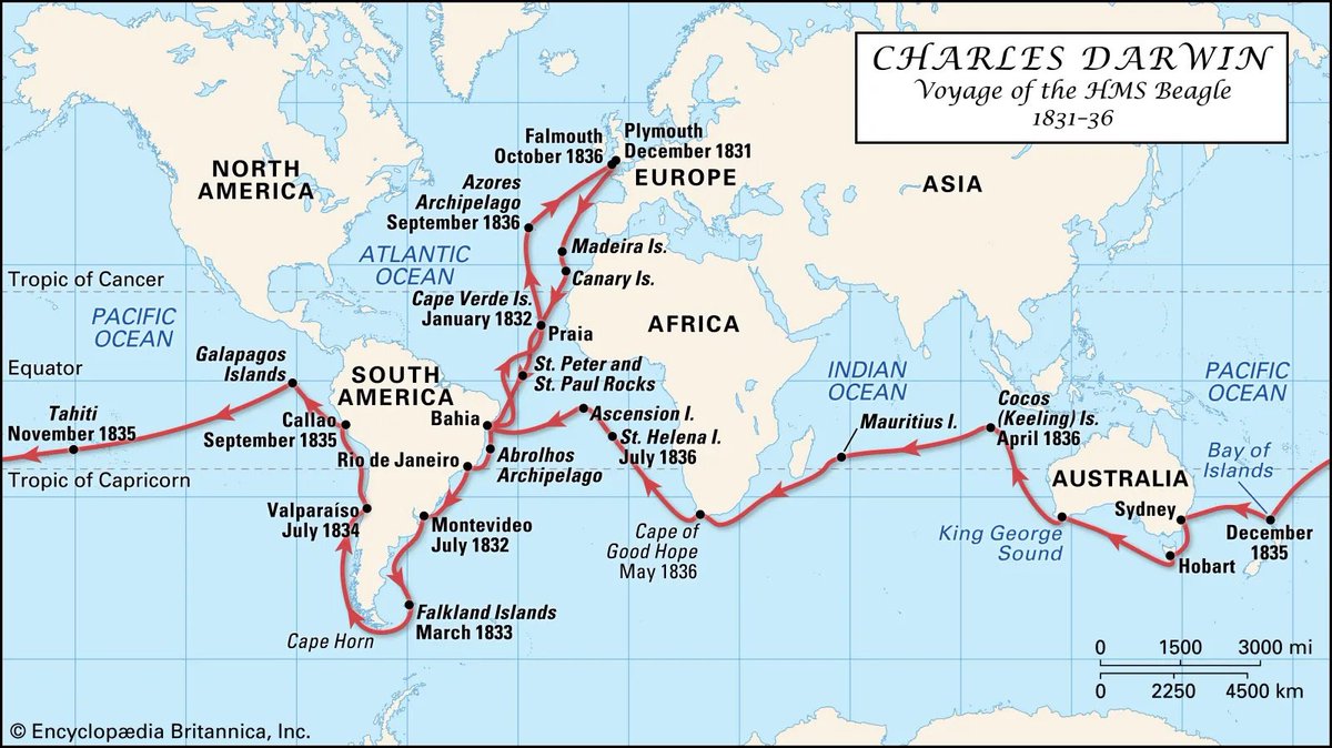 soulsilverart's tweet photo. LEAK THEORY⚠️

So if starters can be from anywhere…

What if the Gen10 starters are based on Darwin’s voyages & studies instead of being from the Gen10 nation of inspiration?

What if a Darwin-like Prof collected the 3 different starter Pokémon from different regions around the globe?

Below we can see a voyage Darwin went on IRL- GF could easily find an animal that he studied in some of these countries and pick them as the starters.

One from Australia, one from Africa and one from South America?

Apparently Platypus confused Darwin. Or Darwin’s finches/The Galapagos Giant Tortoise comes to mind.

Or maybe they could pick any of the animals he focused on in one of his books, like Origin of Species. 
Something like, the variations of rabbits- Or better yet, a link between man and ape?👀