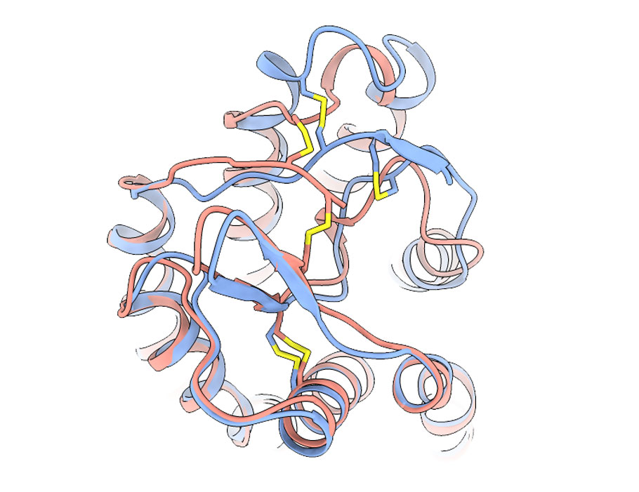 scisignal's tweet image. How does the metabolic receptor #HCAR1 become activated? 

Researchers harness #CryoEM to examine HCAR1 unbound and bound to lactate or a synthetic activator and show that the receptor becomes self-activated through rearrangement of extracellular loop 2. scim.ag/4suF99n