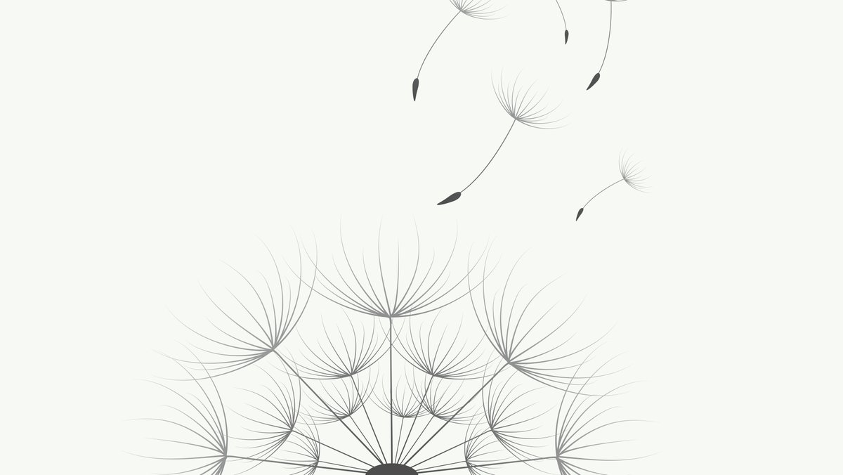 Our Daʿwah
Shaykh Muqbil ibn Hādī al-Wādiʿ

troid.org/our-dawah/