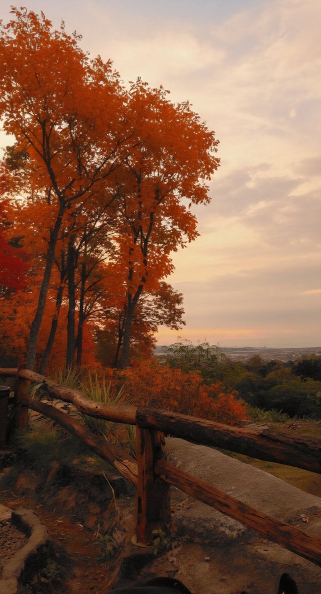 colors that don’t rush