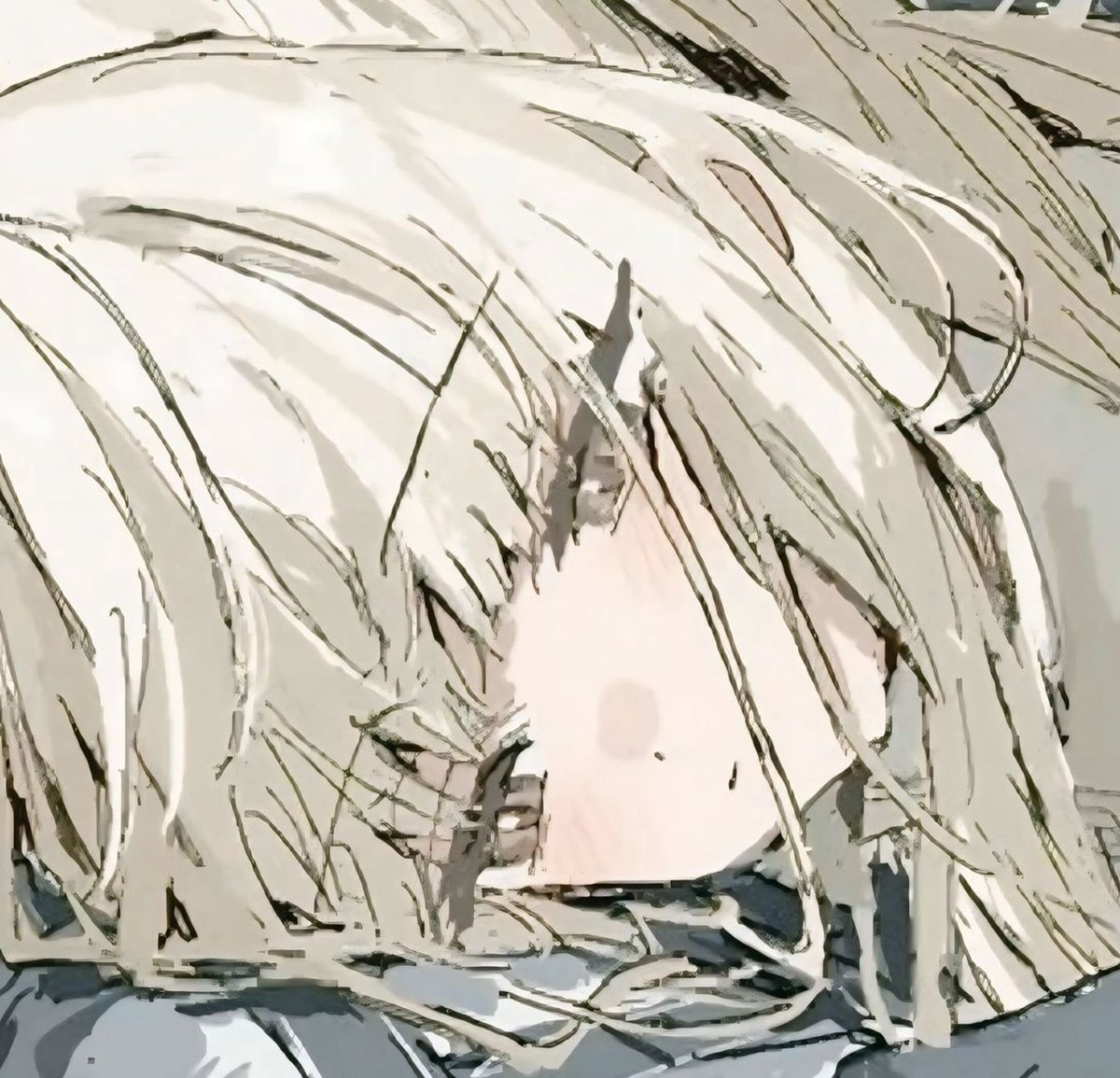 Avinezza's tweet image. 雨が2日間続いてるから洗濯物が乾かなくて困ってる 🐣