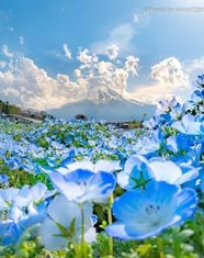 ayla1998's tweet image. 風が強すぎて傘が壊れてしまい、ずぶ濡れになって帰宅した
最悪の一日 🧎