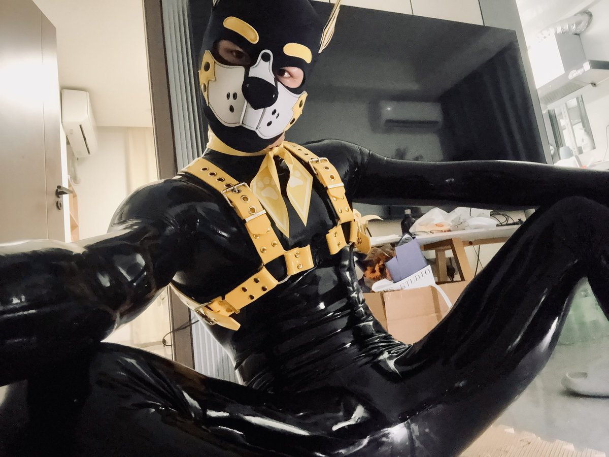 真是琦怪PupKiki tweet media