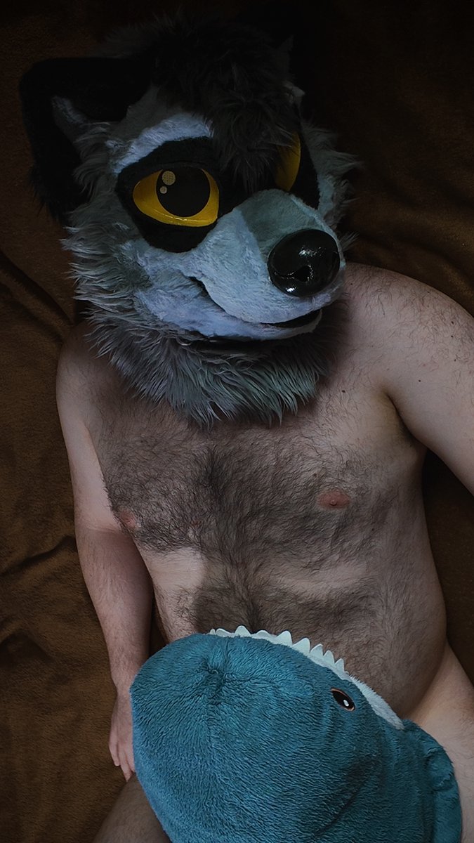 Bandit Raccoon 🇰🇿 tweet media