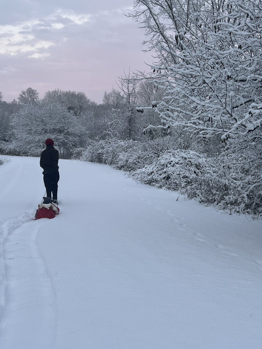 From our sledding adventure