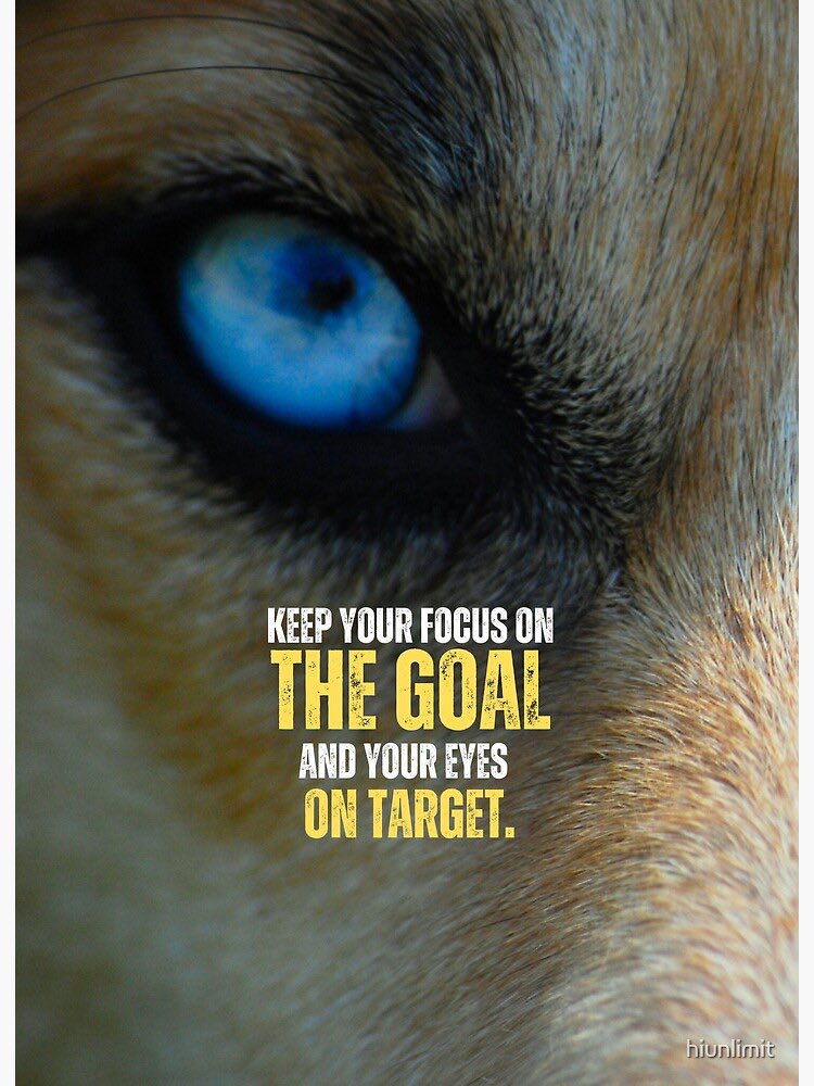 Samaya Clark-Gabriel tweet media