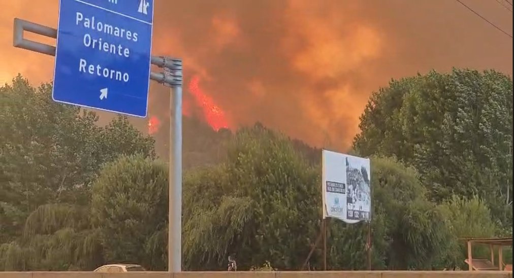 🔴Situación de carreteras en el Bío Bío por incendios:

- Autopista del Itata: ❌ cerrada
- Ruta Concepción-Cabrero: ❌ cerrada
- Ruta Concepción-Florida: ❌ cerrada
- Ruta Tomé-Penco: ❌ cerrada
- Ruta de la Madera: ✔ abierta, pero con congestión ⚠. Plaza de Peaje San Roque