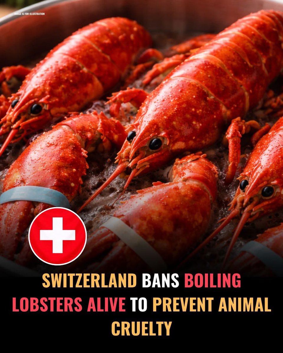 Well done Switzerland