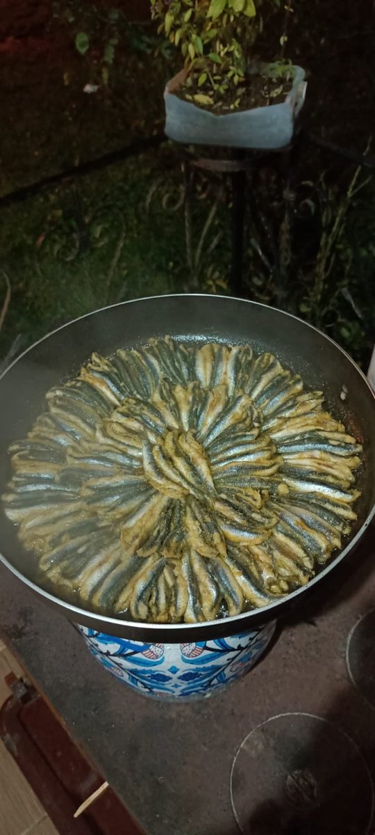 asiruh78_78's tweet photo. Bazı arkadaşlarım son derece vicdansız 😋😋😋 #hamsitava #trabzon #pazar https://t.co/uLFf3QcdoQ