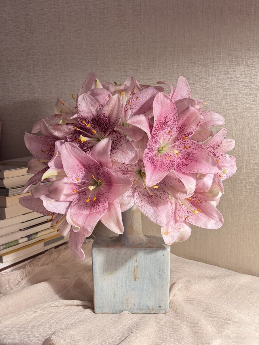 i3Moment's tweet image. Lilies