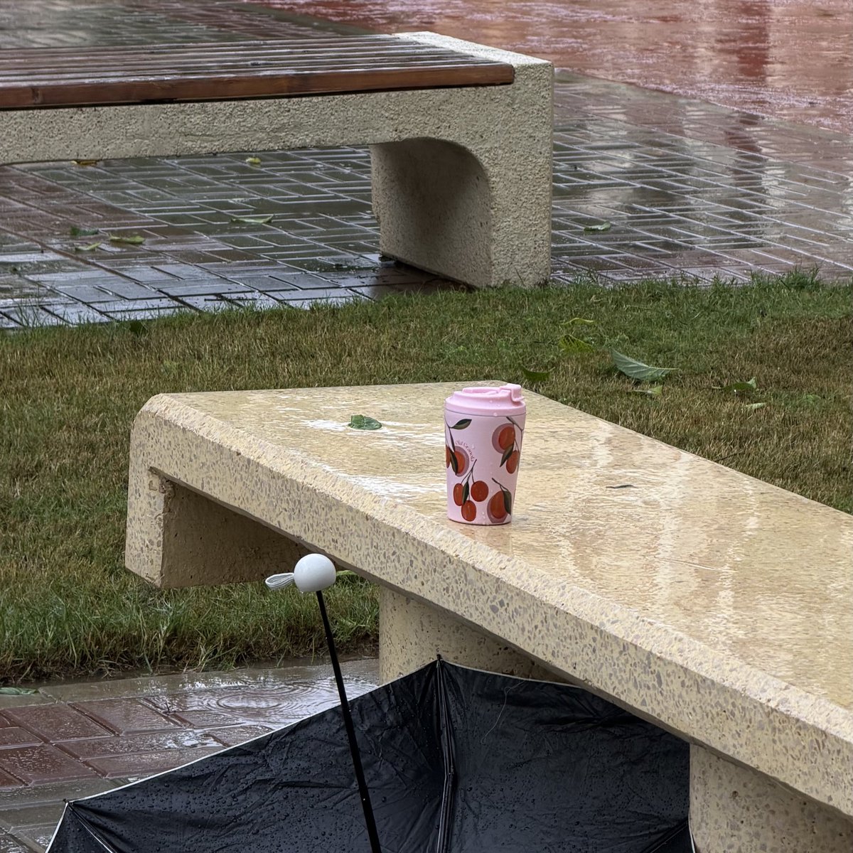 خلود tweet media