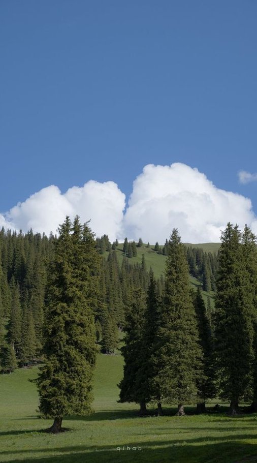 antziree's tweet image. コンビニで新商品見つけた
今度買ってみよう 🧞‍♀️